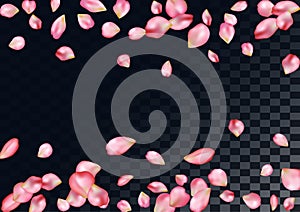 Abstract background with flying pink rose petals.
