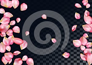 Abstract background with flying pink rose petals.