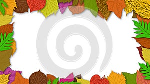 abstract background of a frame with colorful autumn leaves