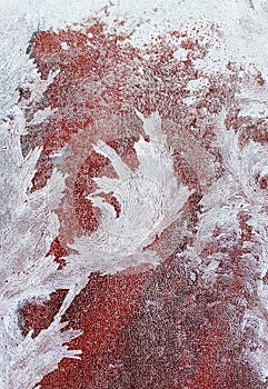 Abstract background from frosty pattern on glass in the form of furry twigs and feathers