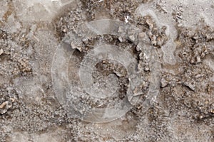 Abstract background of frozen sea salt. Backgrounds and texture on the seashore in stone deposits flooded with water and the remai