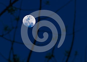 Abstract background. full moon.