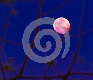 Abstract background. full moon.