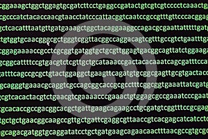 Abstract background, genome sequencing