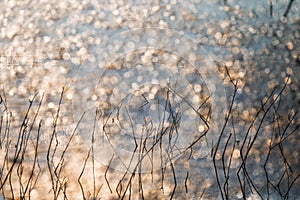 Abstract background with glittery sparkling bokeh