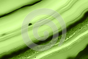 Abstract background - green agate slice mineral macro PANTONE greenery