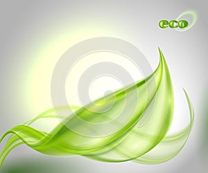 Abstract background with green leaf