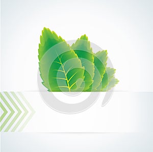 Abstract background with green leaves and banner