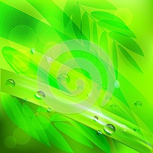 Abstract background green leaves and water drops.vector background