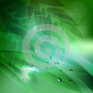 Abstract background green leaves and water drops.vector background