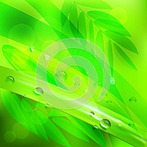 Abstract background green leaves and water drops.vector illustration