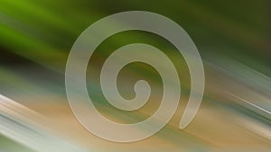 Abstract background green yelow motion blur photo