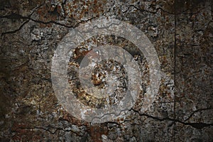 Abstract background in grunge style. Texture of stone and concrete with cracks and spots