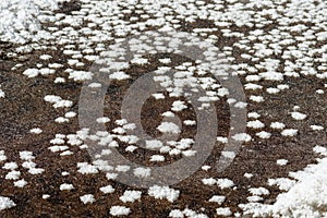 Abstract background. Ice and water, lots of snowflakes and frost. View from above.