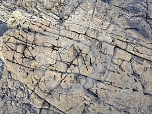 An abstract background image of a cracked mudstone surface