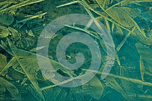 Image of frozen ground