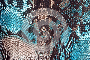 Abstract background, imitation snake skin