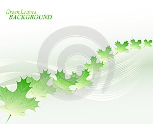 Abstract background with lines and leaves. EPS10 vector illustration