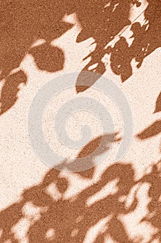 Abstract background made of concrete wall and blurred gray tree leaves shadow. Nature concept backdrop. Natural light. Selective