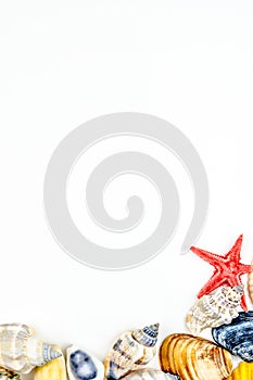 Abstract background made of shells white background