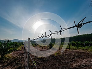 Abstract background of metal wire fance in bright sun blue sky background