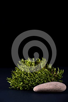 Abstract background with moss  and stone podium for products presentation or exhibitions.  Concept for natural cosmetic