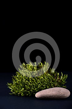 Abstract background with moss  and stone podium for products presentation or exhibitions.  Concept for natural cosmetic photo