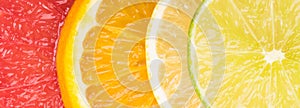 Abstract background with motley citrus-fruit slices, close-up background