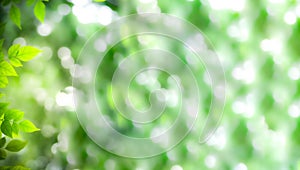 Abstract background nature of green leaf on blurred greenery background in garden