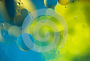 Abstract background, oil drops on water, bubbles, space fantasy, color gradient, color circles of oil on the water surface, rainbo