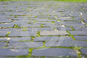 Abstract Background of Old Cobblestone Pavement Road with Green Moss. Stone pavement in perspective