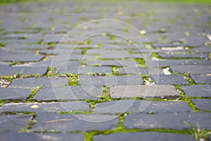 Abstract Background of Old Cobblestone Pavement Road with Green Moss. Stone pavement in perspective