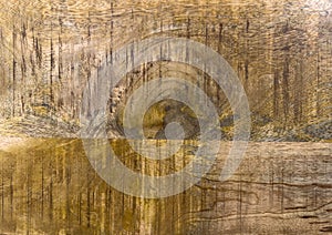 Abstract background. Old wood texture as background.