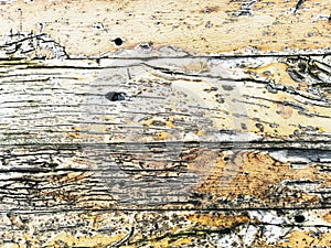 Abstract background. Old wood texture as background