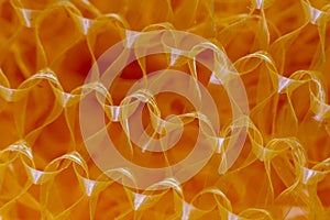 Abstract background, orange plastic scrub macro close up