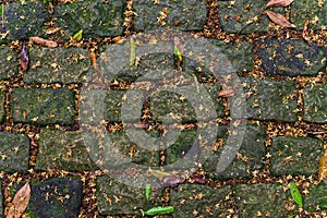 Abstract background of pebblestone road with leaves and grass.