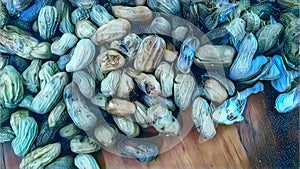 abstract background picture of boiled peanuts with magic ice effect, nobody, art