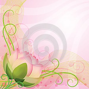 Abstract background pink lotus flower