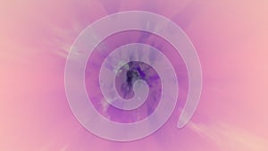 Abstract background pink radial rays