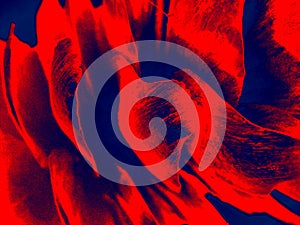 Abstract background in red and blue, with a spectacular rhythm and inserts