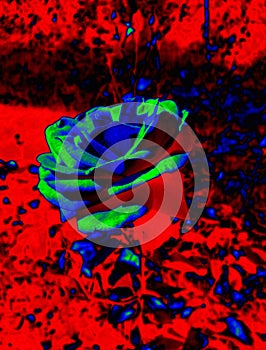 Abstract background in red, green and blue, with a spectacular rhythm and inserts