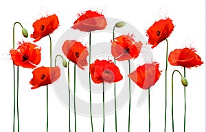 Abstract background with red poppies flowers.