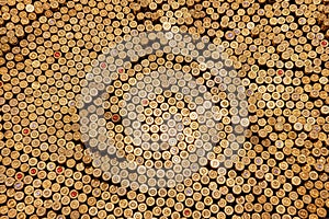 Background with rows of the golden shiny bullets