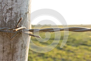 Abstract,background,rual