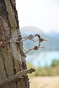 Abstract Background Rual