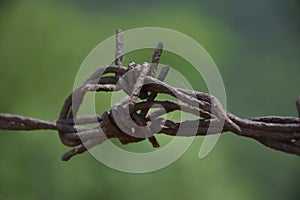 Abstract Background Rual