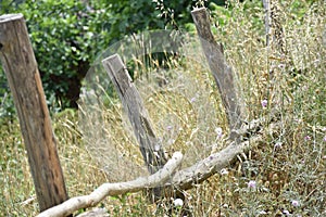 Abstract Background Rual