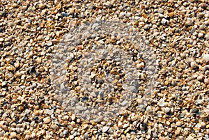 Abstract background from sand and shells