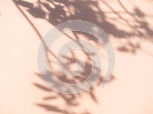 Abstract Background Shadow Leaves From window House Effect