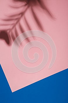 Abstract background of shadow of palm leaves on pink and blue paper backdrop. Creative summer minimal layout. Modern shade palm, g photo